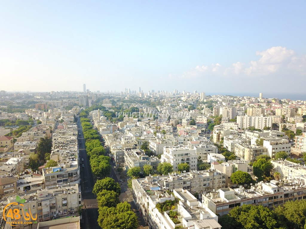 jamal basha tsterre (6).jpg.jpg